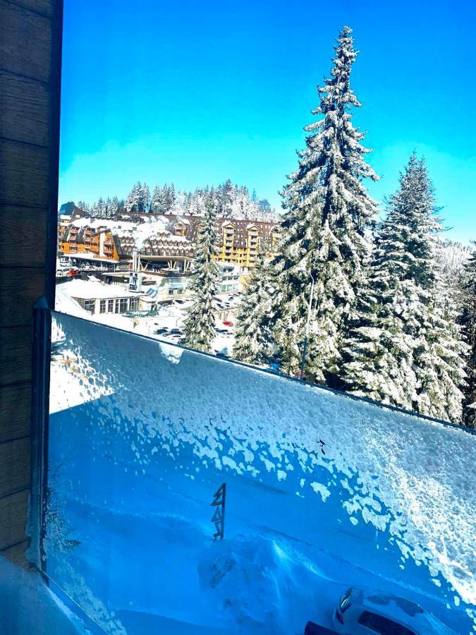 Alpin Apartments Τζαχορίνα Εξωτερικό φωτογραφία